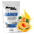 Гейнер 1,7 кг диня MuscleWay
